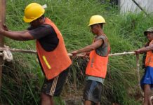 Estudios indican que, en los oficios esenciales, los inmigrantes trabajadores reciben la peor remuneración salarial