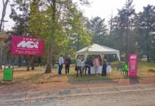 Morena, ahora sí, ante una oposición real, no leal