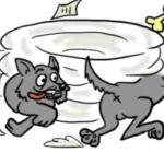 Podcast #RealPolitik101: Lo que tenemos claro sobre la reforma electoral