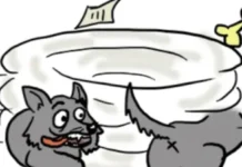 Podcast #RealPolitik101: Lo que tenemos claro sobre la reforma electoral