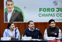 Rebelión Verde Contra Reforma Electoral