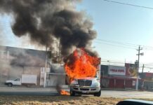 Videoblog: Cayó El Mencho: ¡A Claudia se le incendia el país! ¡El día más violento!