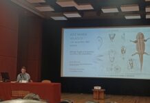 Abordan en conferencia la producción científica de Alfred Dugès y su vínculo con José María Velasco