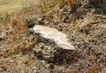 El INAH emprende rescate arqueológico emergente del sitio Tetlatlahuca, en Tlaxcala