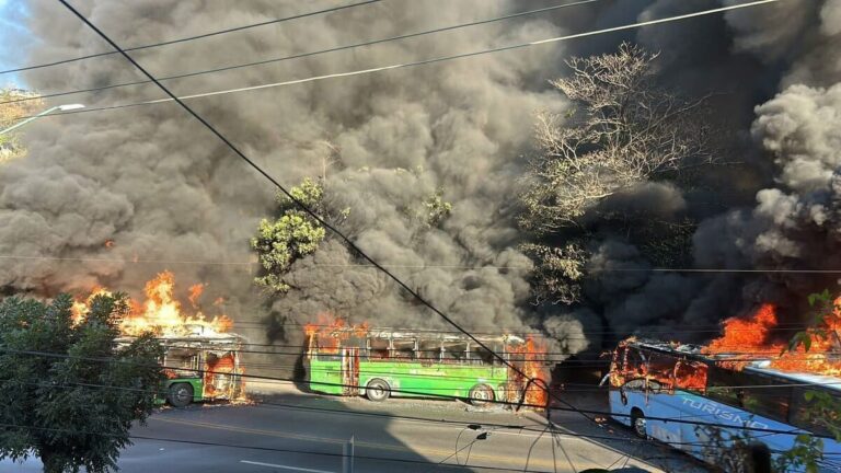 Videoblog: Jalisco en llamas por la muerte de El Mencho