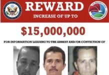 Sobre la captura y abatimiento del capo