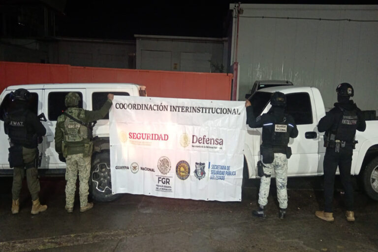 Guardia Nacional y Ejército Mexicano aseguraron armas largas y  cartuchos en Chihuahua
