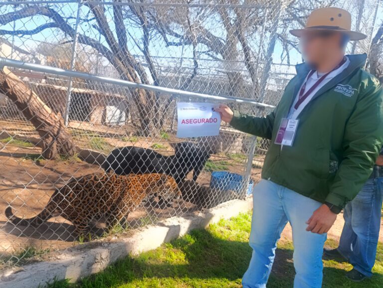 Asegura Profepa 44 ejemplares de fauna silvestre en sitio de turismo de naturaleza en Aguascalientes