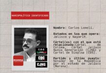 Narcopolíticos: Debate sobre Impunidad