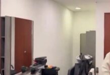 Videoblog: De la estética en el Senado y otros servicios