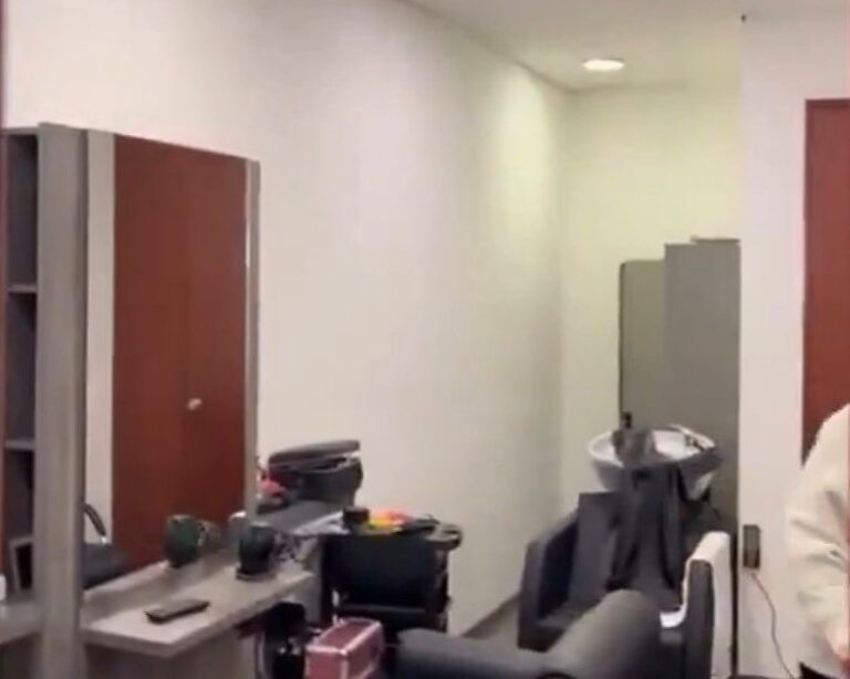 Videoblog: De la estética en el Senado y otros servicios