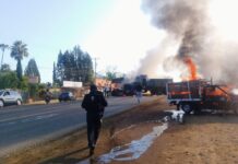 Videoblog: Todo sobre el Mencho y la violencia