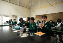 La escuela del resentimiento: Cuando la educación deja de ser futuro