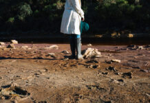 Crisis de desapariciones en México: 16,000 casos en este sexenio