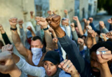 Videoblog. Los tres quinces de la democracia