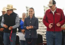 Abucheos a Monreal en evento con Sheinbaum