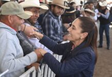 Por qué no cuidan bien a Sheinbaum