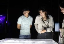 El Centro de Cultura Digital inaugura “Planeta Complejo. Diversidad”, exposición de creación electroacústica