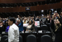 El Senado en la desechada iniciativa de reforma electoral