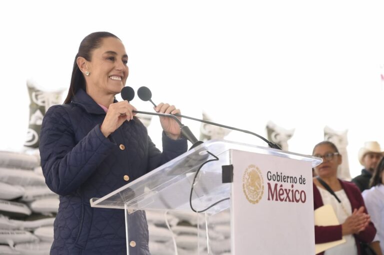 ¿Por qué esa insistencia en la revocación de mandato?