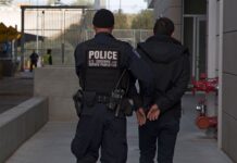 Se desploman las detenciones en frontera sur