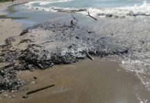 Gotitas de Crudo: Minimizar el Desastre Ecológico