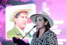 Escándalo en el Senado por denuncia de homicidio