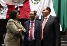 La fractura interna por el Plan B amenaza el absolutismo oficialista