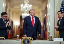 Videoblog. En México gobierna el crimen