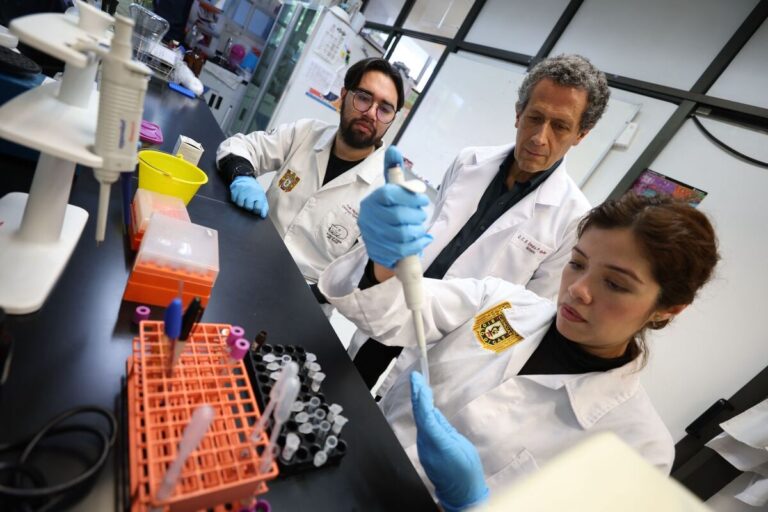 Con células madre, el IPN avanza en la regeneración de huesos, cartílago y tejido muscular