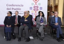 La espiral de una ponzoñosa Reforma Electoral