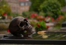 Videoblog: Récord Mundial de Desaparecidos