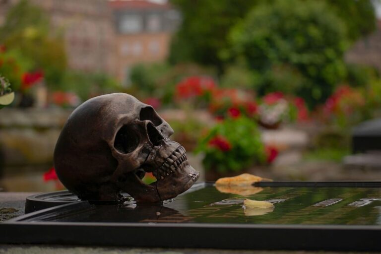 Videoblog: Récord Mundial de Desaparecidos
