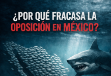 ¿Explicar el fracaso?