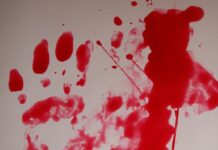 Videoblog. México, el País Más Peligroso del Mundo