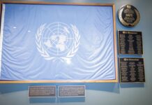 Videoblog: La ONU incomoda a Morena