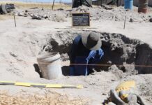 Fosas Clandestinas Desafían Discurso Oficial de Avances