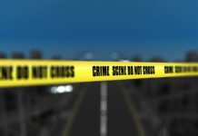 Estadística de sombras: el colapso del homicidio