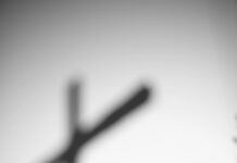 Entre el poder y la verdad