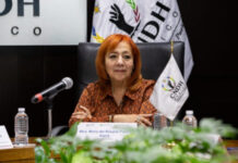 Autonomía de CNDH en entredicho, la respuesta al CED de la ONU la desnuda