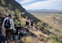 Opción en Semana Santa: exposiciones temporales en el Museo Regional de Sonora