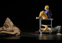 La Bruma de Atacama: Teatro expandido donde convergen ciencia y artes escénicas