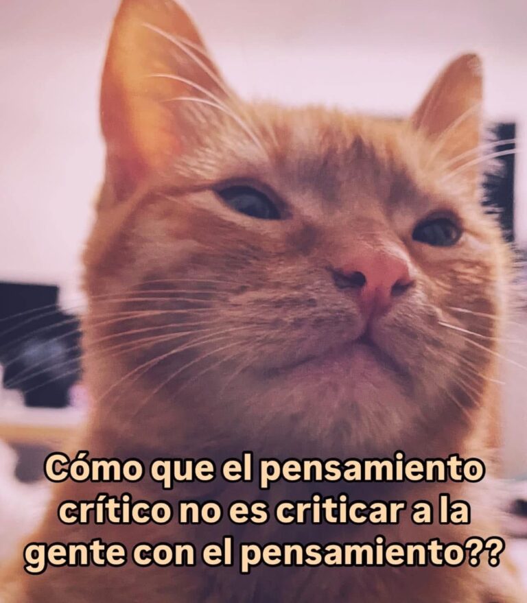 El Meme