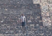 Lobos solitarios, fase superior del terrorismo de ultraderecha