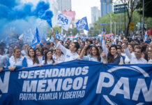 Videoblog: Zona Panista