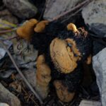 World Vision México pide visibilizar y proteger a la niñez y adolescencia en situación de calle