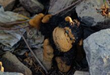 World Vision México pide visibilizar y proteger a la niñez y adolescencia en situación de calle