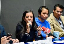 Luisa Gutiérrez denuncia aspiración de 3 consejeros y 1 exconsejero del IECM al INE; son artífices de un frade electoral en el Congreso CDMX