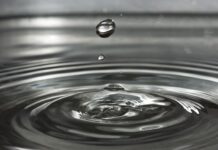 Videoblog: Agua y energía