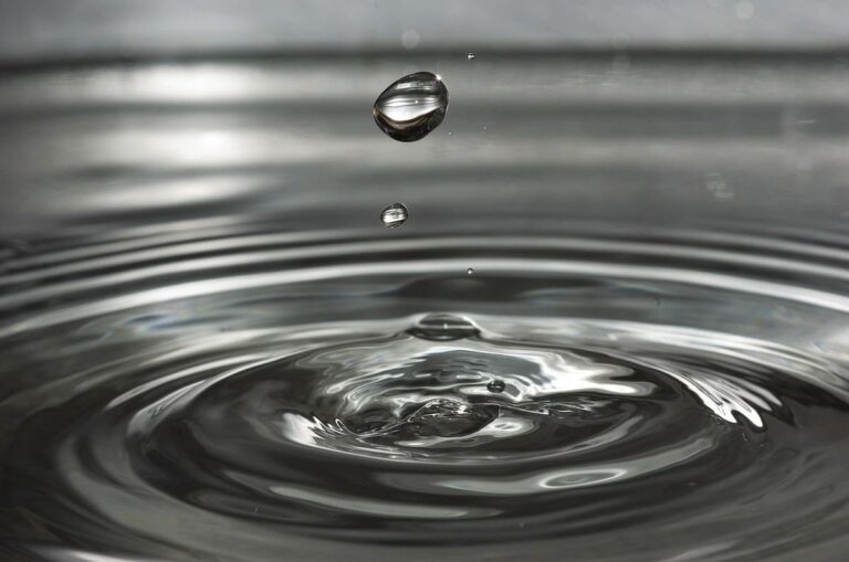 Videoblog: Agua y energía